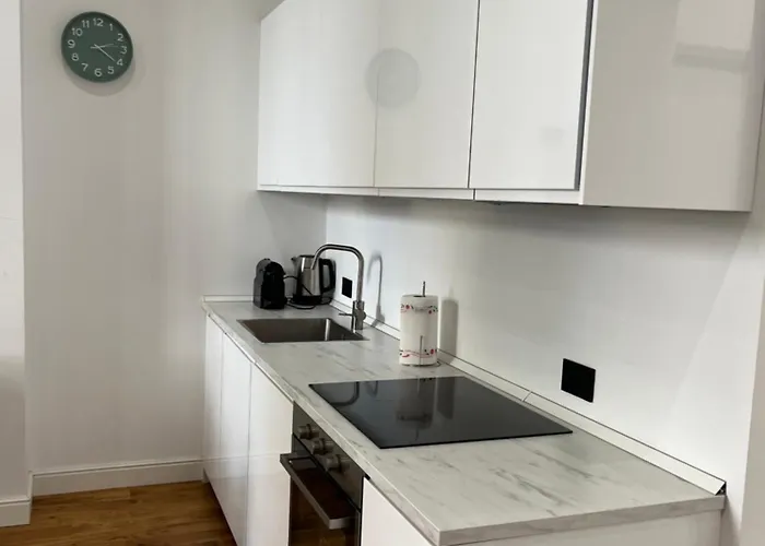 Modern Flat In Isola 公寓 米兰